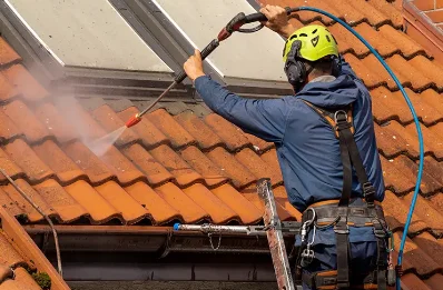 Démoussage et hydrofuge de toiture à Blye